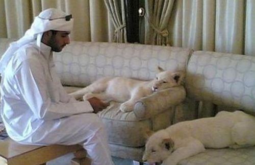 购物天堂有什么好玩的地方,迪拜购物必买清单及攻略