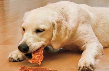 狗狗嘴臭在家怎样清洗,怎样让狗狗的嘴不臭