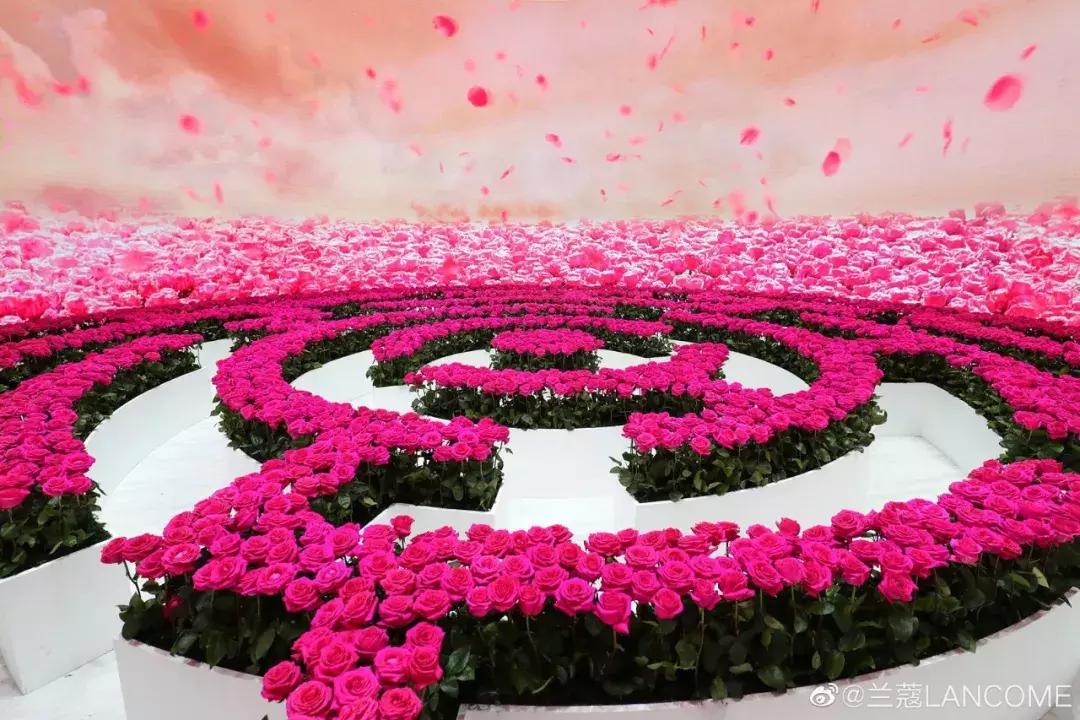 从默默无闻到叱咤风云,从毫不起眼逆袭到第一名