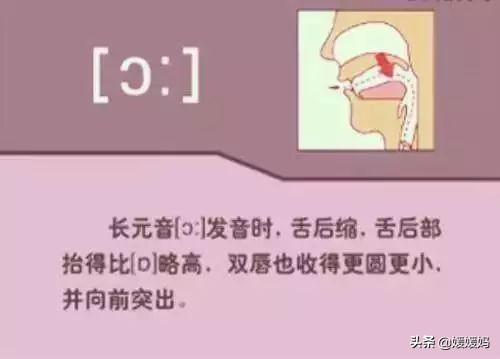 音标教学视频48个快速记忆法,英语48个音标发音教程视频