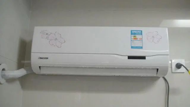 蚊子最怕这个小妙招,天热蚊子嗡嗡叫小窍门治死蚊子