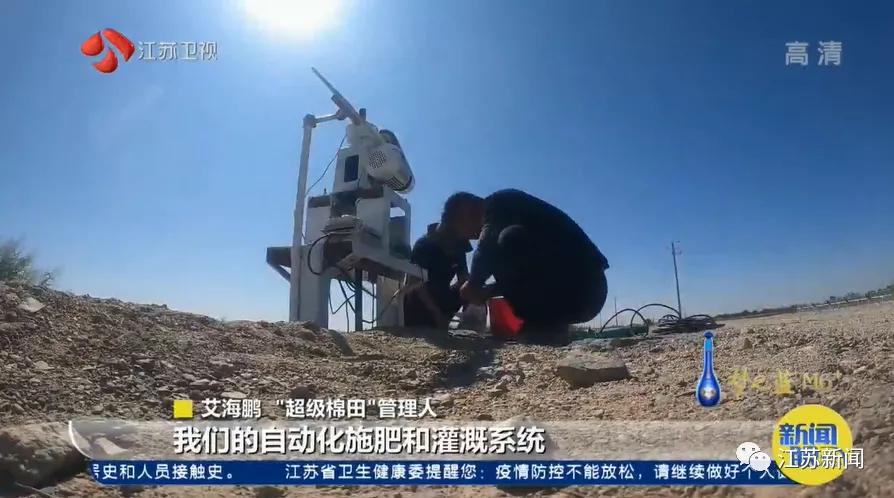 3亩地2个人种玉米需要多久,棉田种植方式