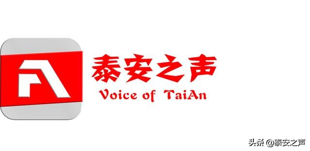 山东省泰安市岱岳区社保缴费公告,社会保险基金缴费单据