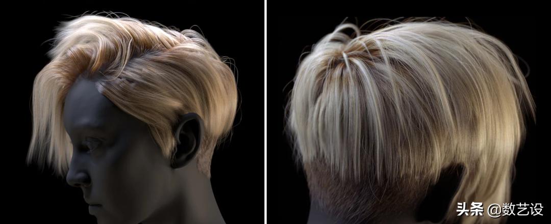 脱发过程3d动画,脱发有救了