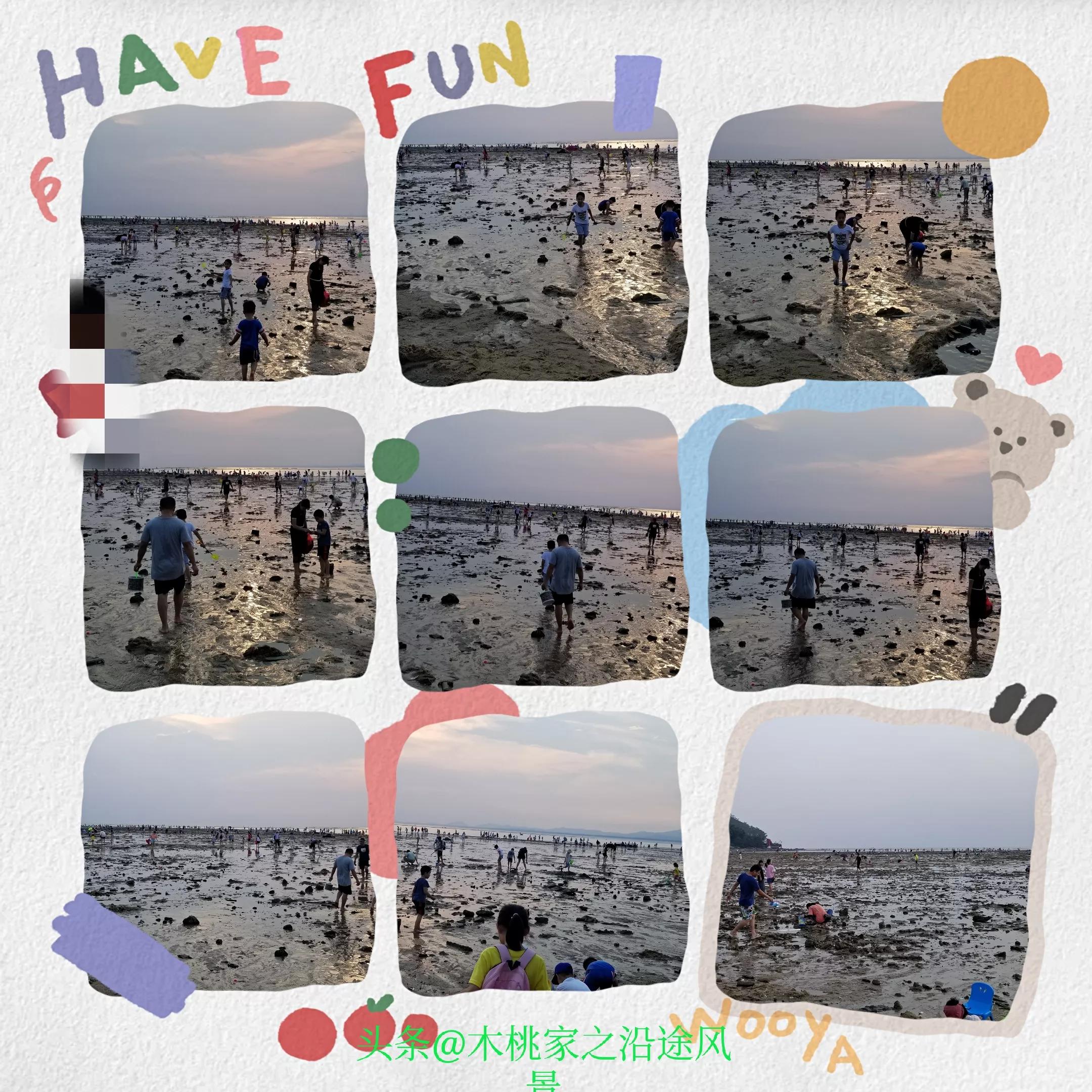 广东沙滩赶海去哪里,阳江东平镇沙滩赶海攻略