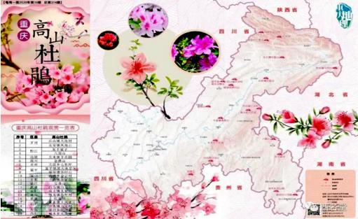 川河盖上的“映山红”开了“周末”来一场花的“艳”遇