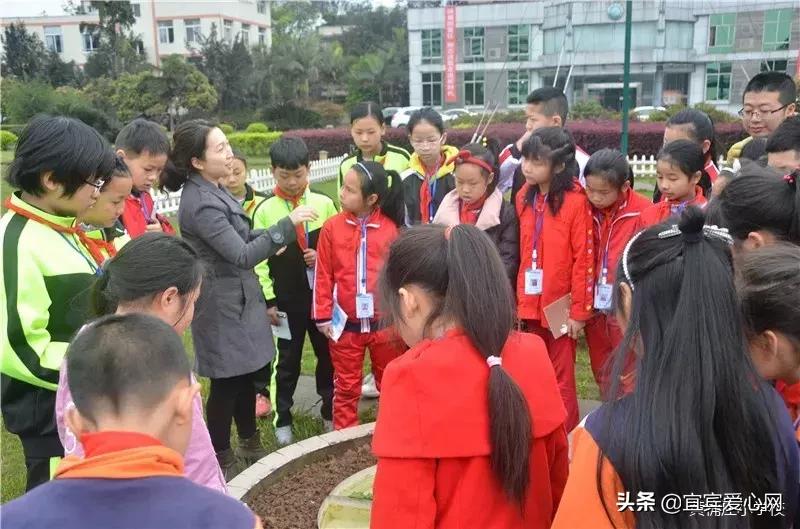 知天文行天下，黄桷庄小学学生感知“气象万千”