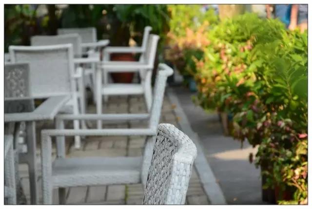 去厦门吹海风,来去厦门观光享受清凉的海风