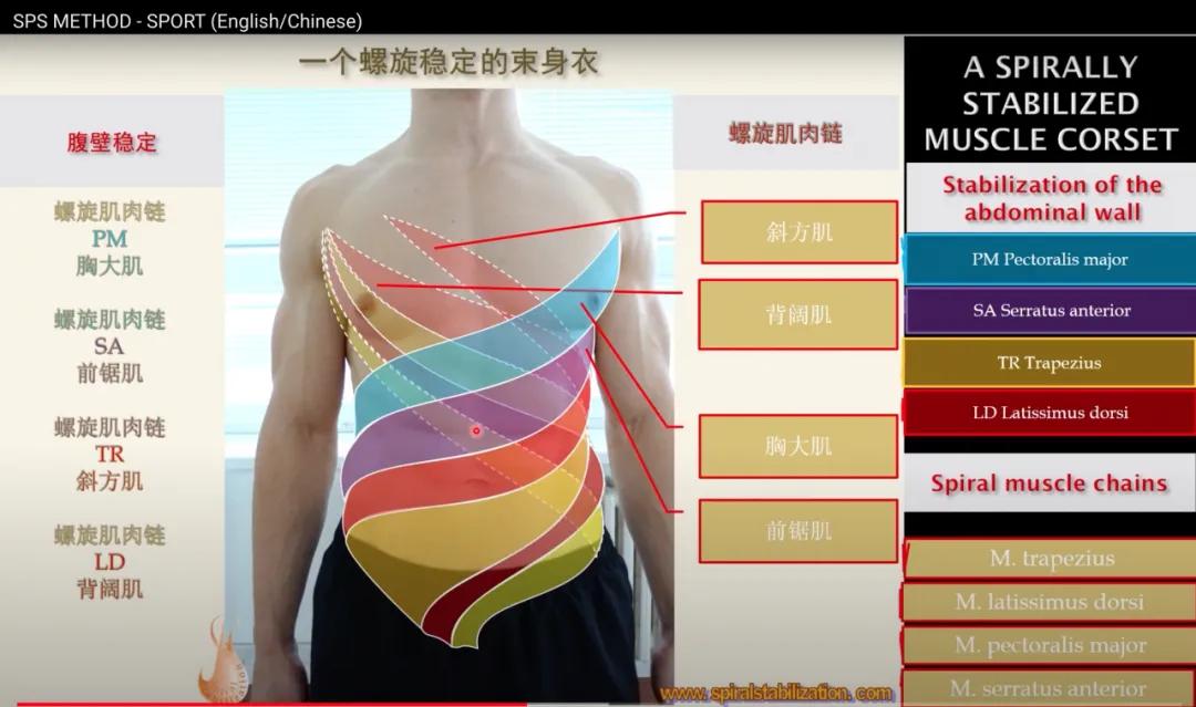 sps鍒涘浜虹悊鏌ュ痉,鐞嗘煡寰蜂翰鎺坰ps瀵煎笀