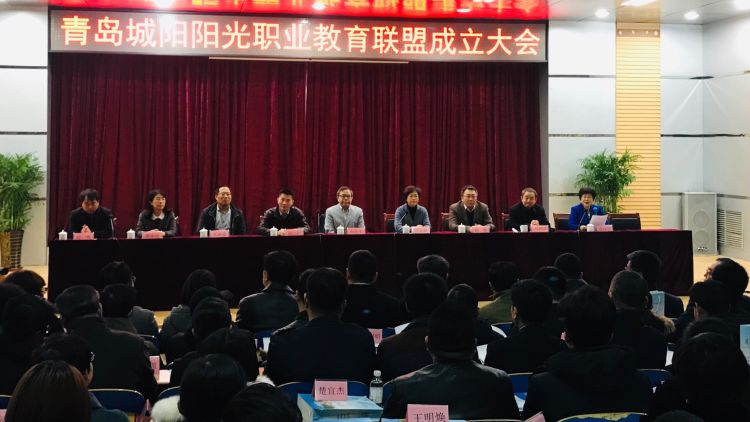 政府牵头企业合作,政府牵头部门协作