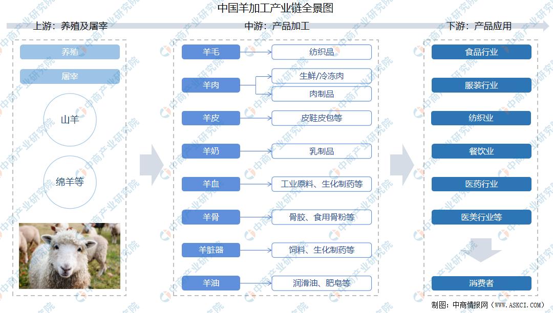 羊产业链集群发展,羊产业链都有哪些