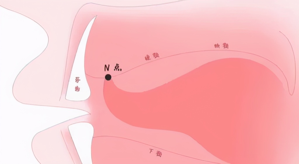 快来对号入座吧,快来对号入座看看你是哪种牙型