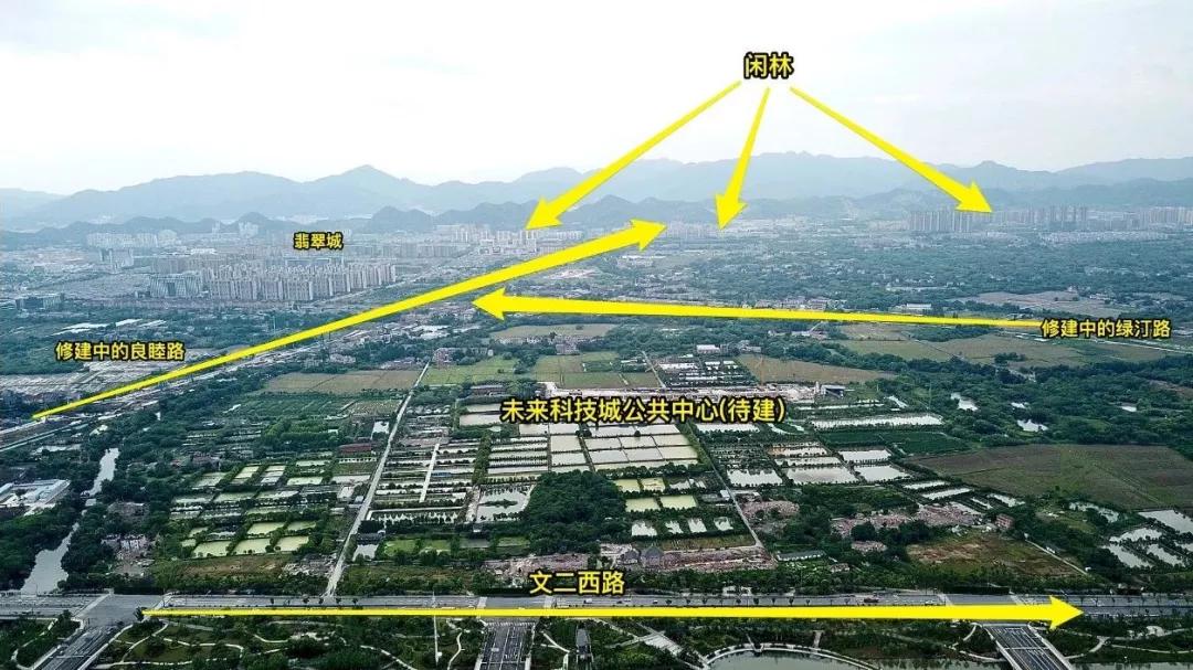 闲林为什么卖不过良渚,闲林为什么没纳入未来科技城