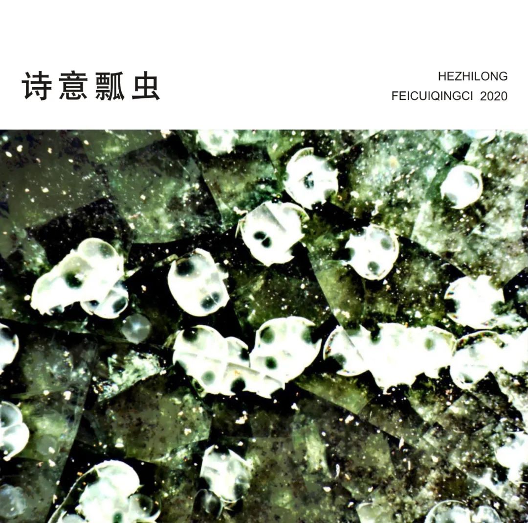 翡翠青釉瓷,翡翠青瓷落釉效果