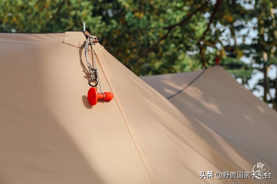 春游在即亲子露营攻略干货奉上,适合亲子的露营装备