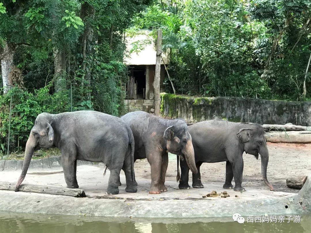 新加坡马来西亚乐高亲子游记（详细版）修改