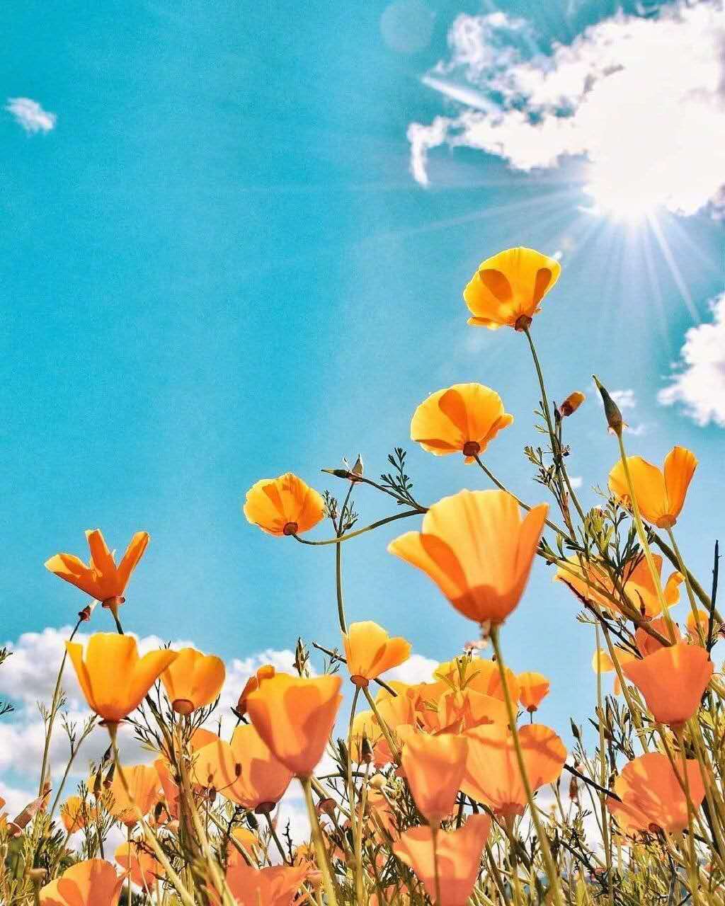 表面和谐的婚姻,婚姻和谐的基础是什么