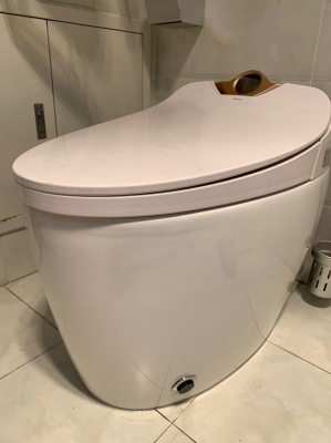 买智能马桶盖好还是买一体的好,智能马桶和智能马桶盖买哪个好