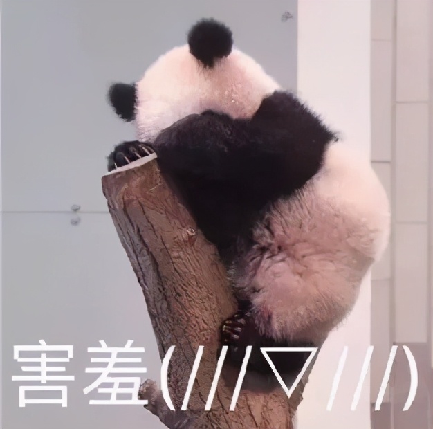 80后的小霸王学习机：对学习帮助不大，但提升了我的超级马丽水平