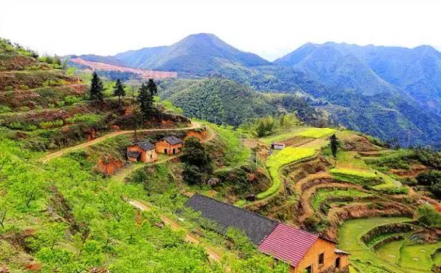 缙云十大旅游村落排名榜,缙云必游古村落