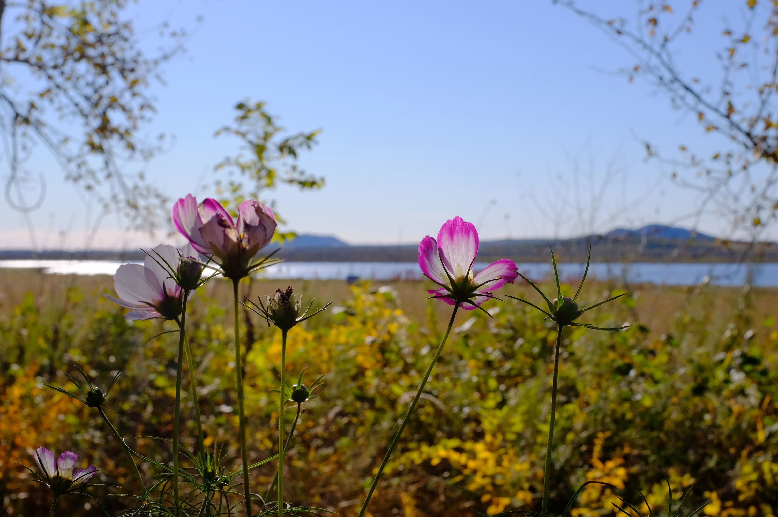 北国明珠黑河,黑河一颗璀璨的明珠