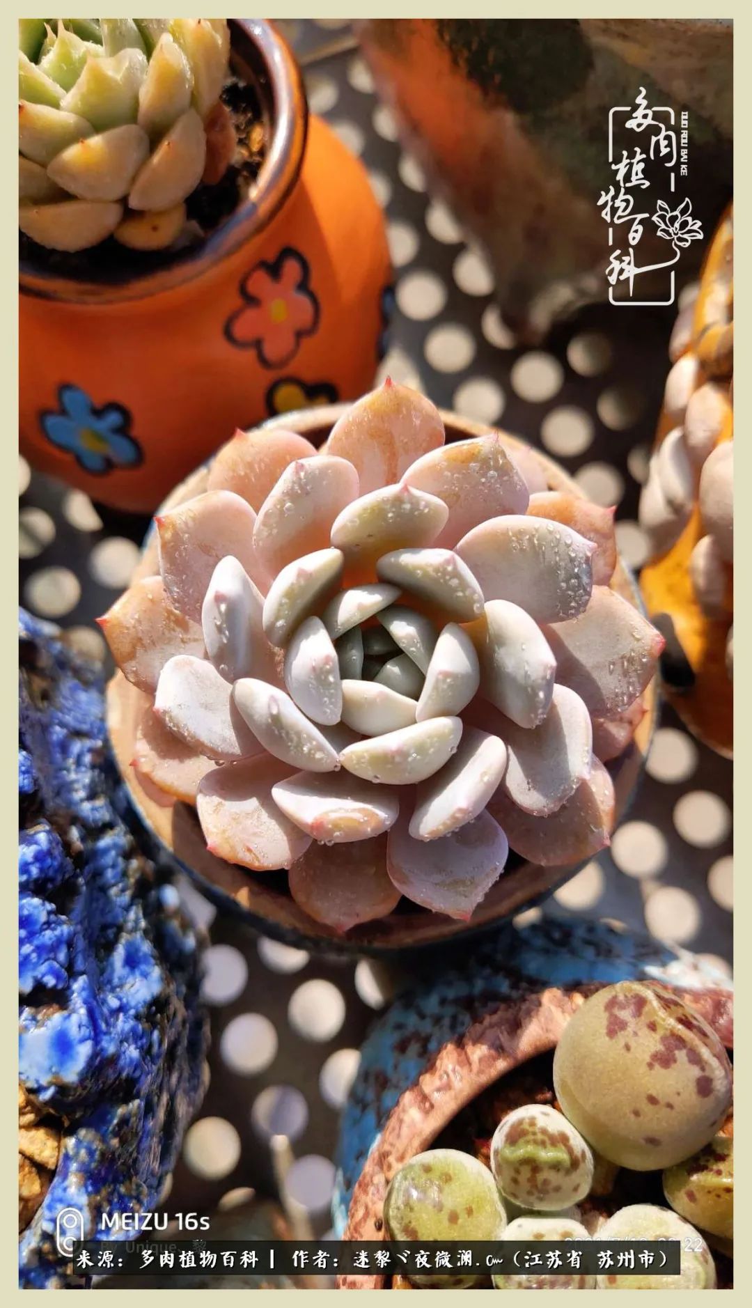 秋尽冬来岁月不居时节如流,岁月不居时节如流水