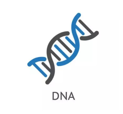 移动互联网的重构,移动互联网的六个思维