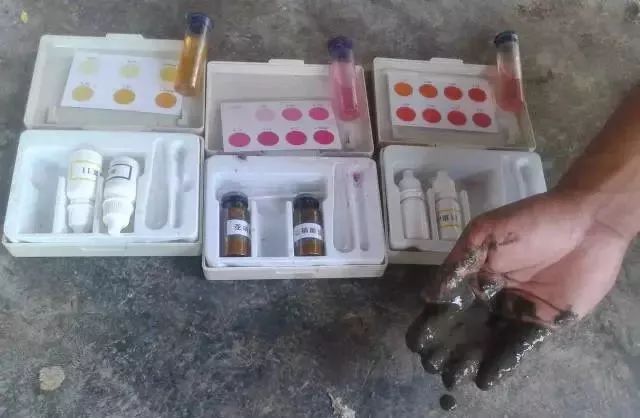 罗非鱼过冬的办法有哪些,罗非鱼最低多少度可越冬