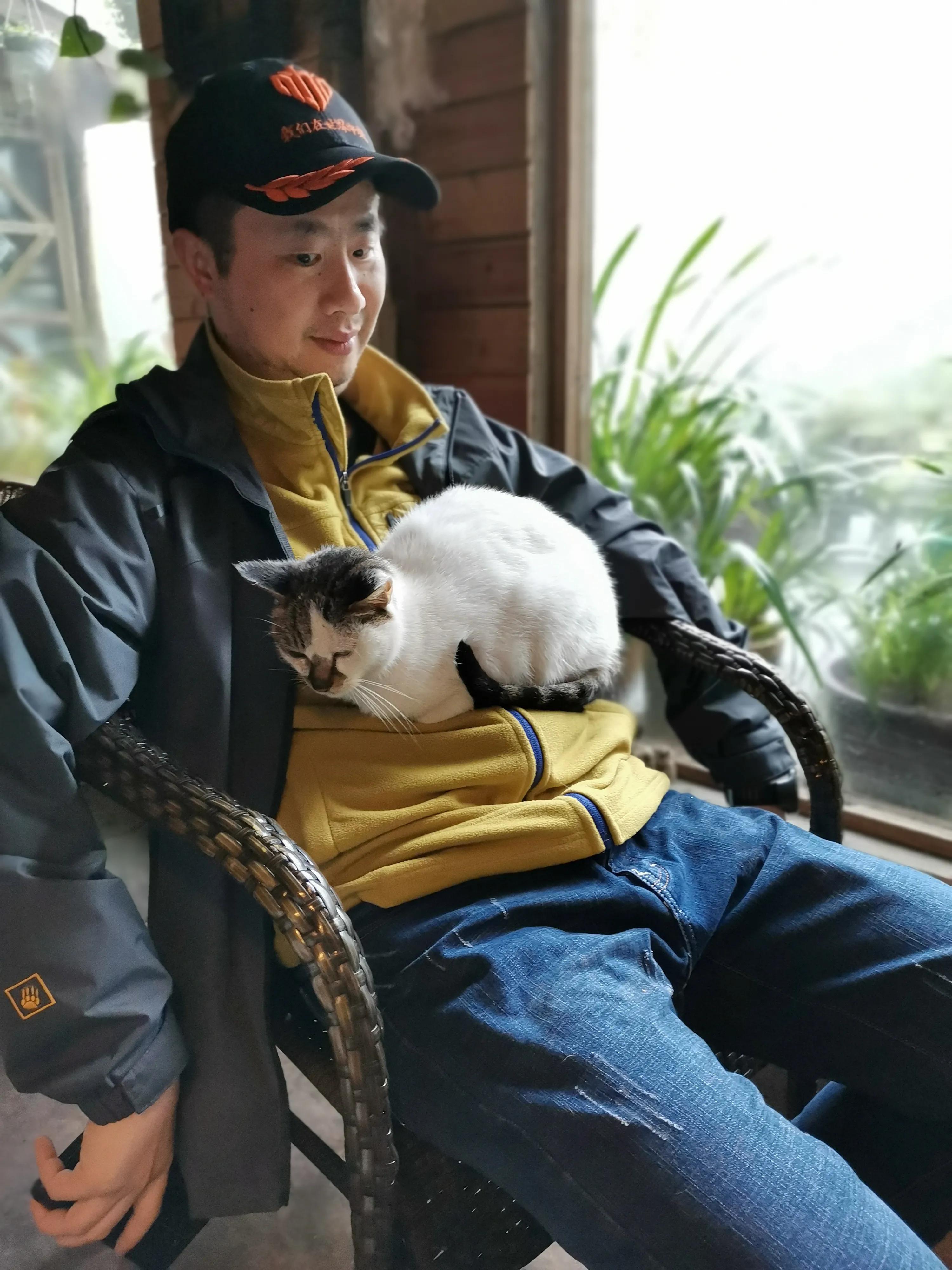 铜梁巴岳山森林木屋,巴岳山树屋