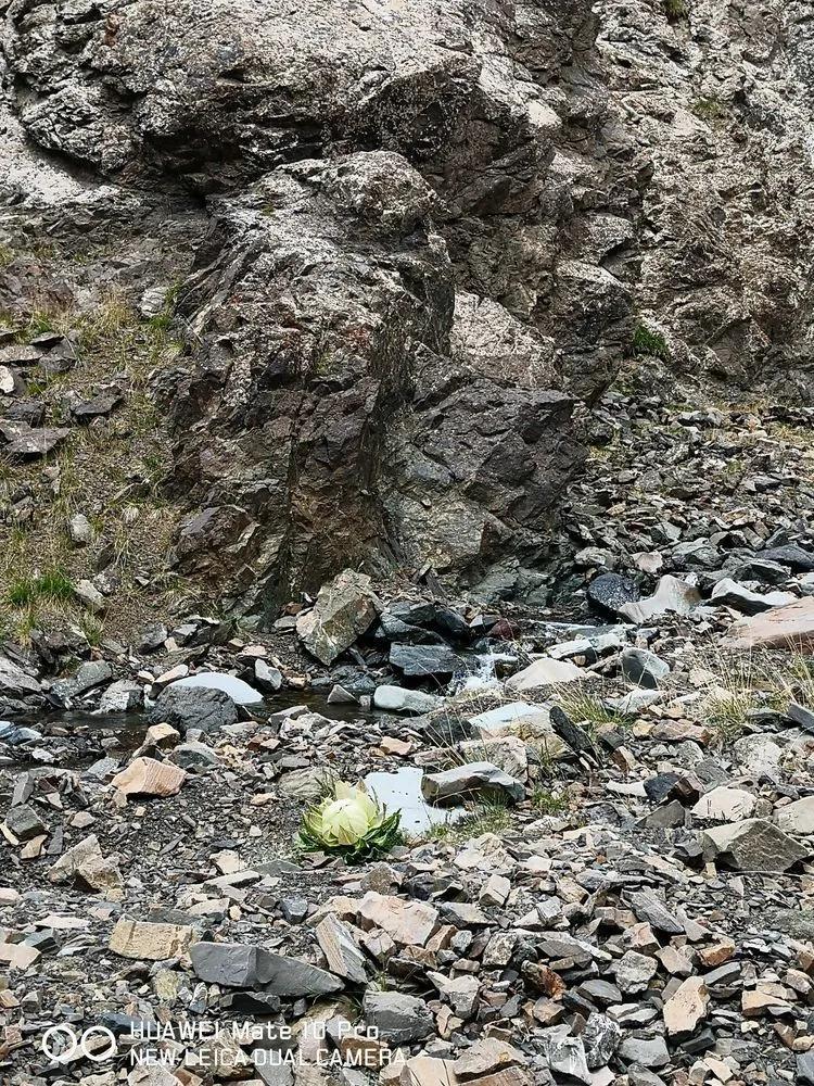 传说中的天狼之路，是否值得一走？