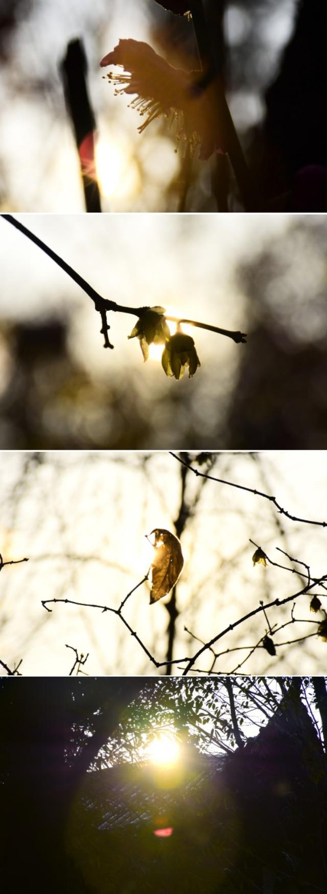 长城上能建学校吗,学校建得像长城