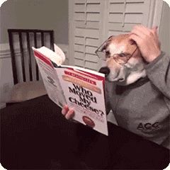 怎么通过狗狗便便颜色判断,狗狗吐绿色的呕吐物要不要看