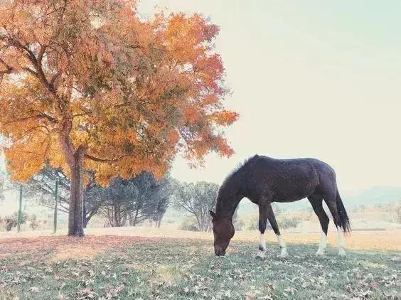 如何克服赛前紧张心情,如何克服赛前紧张