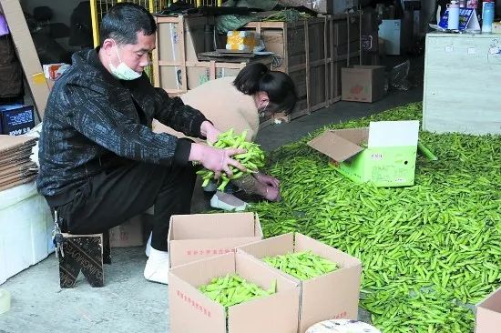 农村快递商机大全,农村快递市场规模