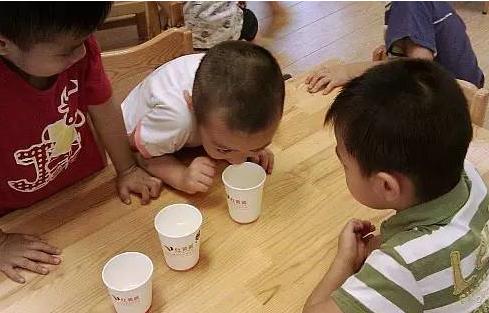 水质的检测关键操作步骤有哪些,井水检测水质最简单的方法