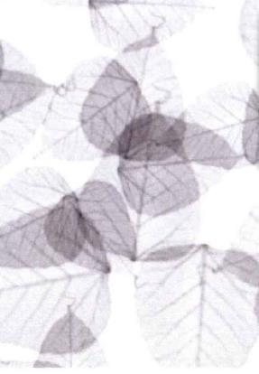 丝网印花与数码印花的区别,热升华印花跟数码印花哪个好