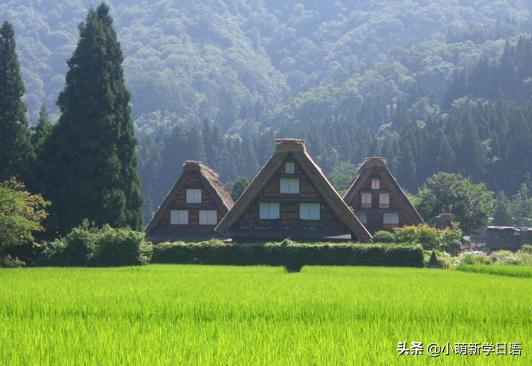 和日本人交流的常用语,与日本人对话常用语