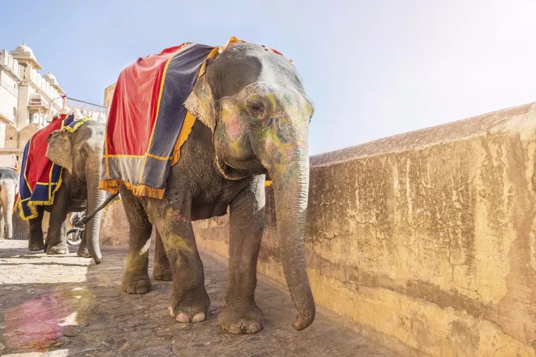 印度放宽对华电子签证,印度签证再次延签规定