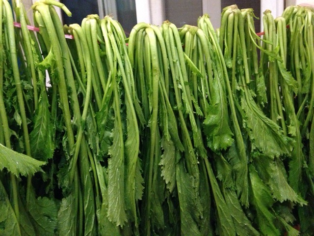 怎么腌雪菜才好吃,怎么腌雪菜好吃又简单