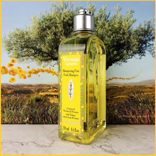 好用洗发水推荐控油蓬松防脱发,14款热门洗发水红黑榜告别细软塌