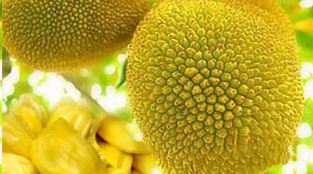 柬埔寨水果海鲜,柬埔寨超市特产必带清单