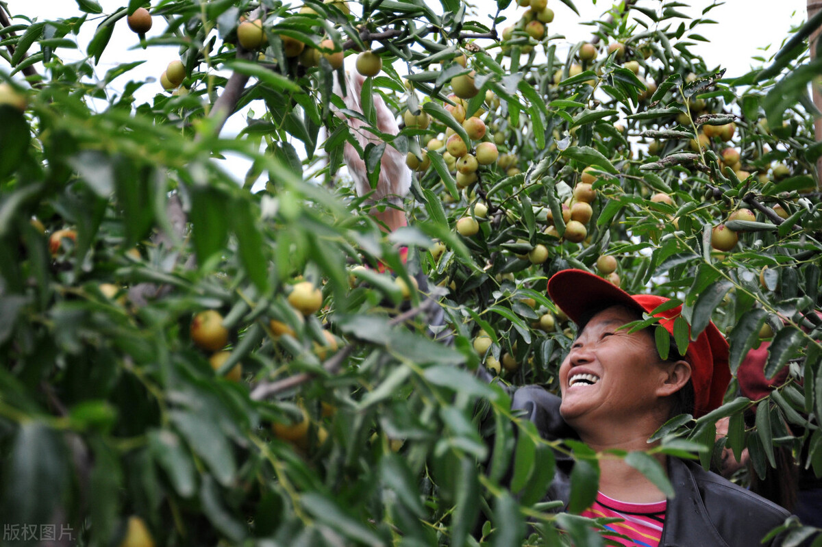 运城市十三县市有哪些,运城十三个县市有哪些