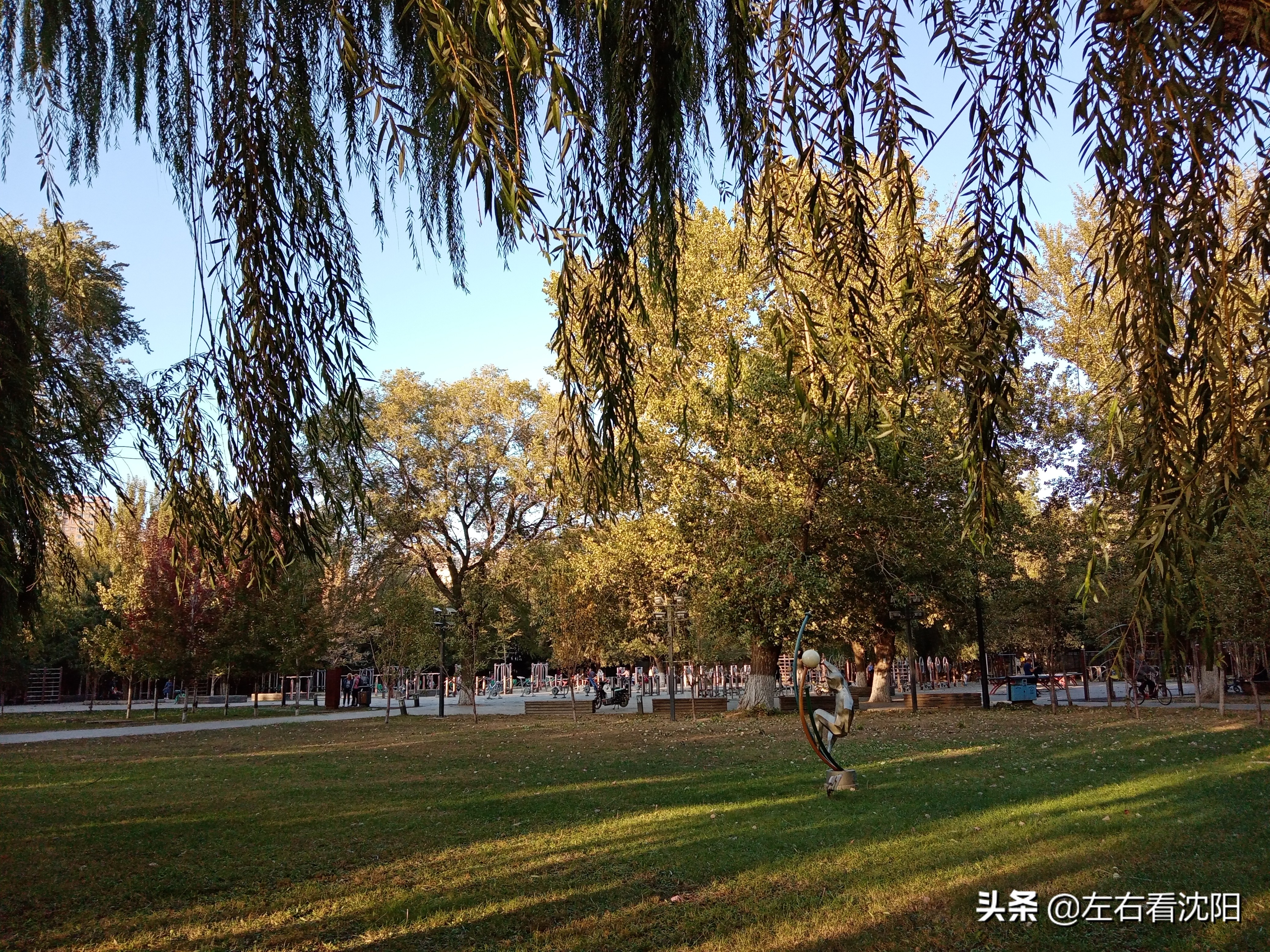 沈阳沈水湾公园看日出,沈阳浑河看海的地方