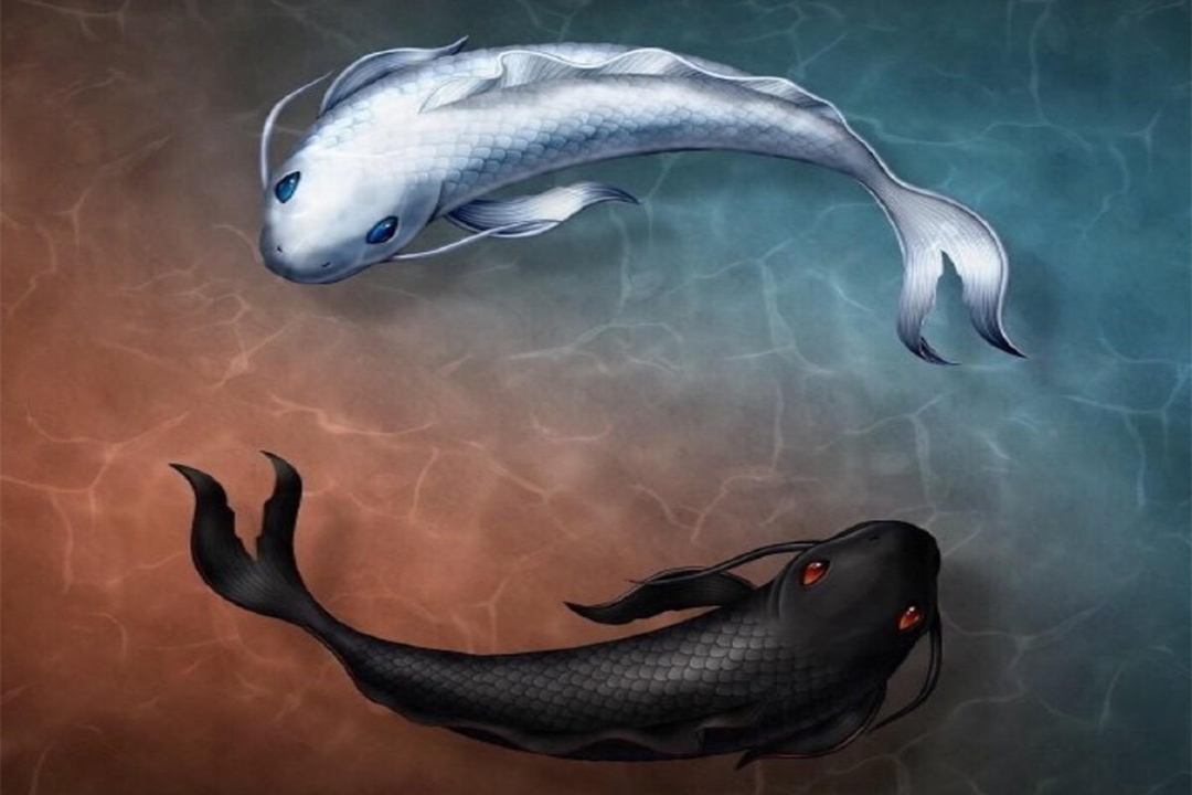 温柔美丽的双鱼座女孩,应该怎样做,才能找到真爱?