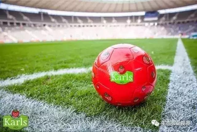 用一颗草莓吸引5百万游客,开5家主题乐园、4家超市、300个草莓屋