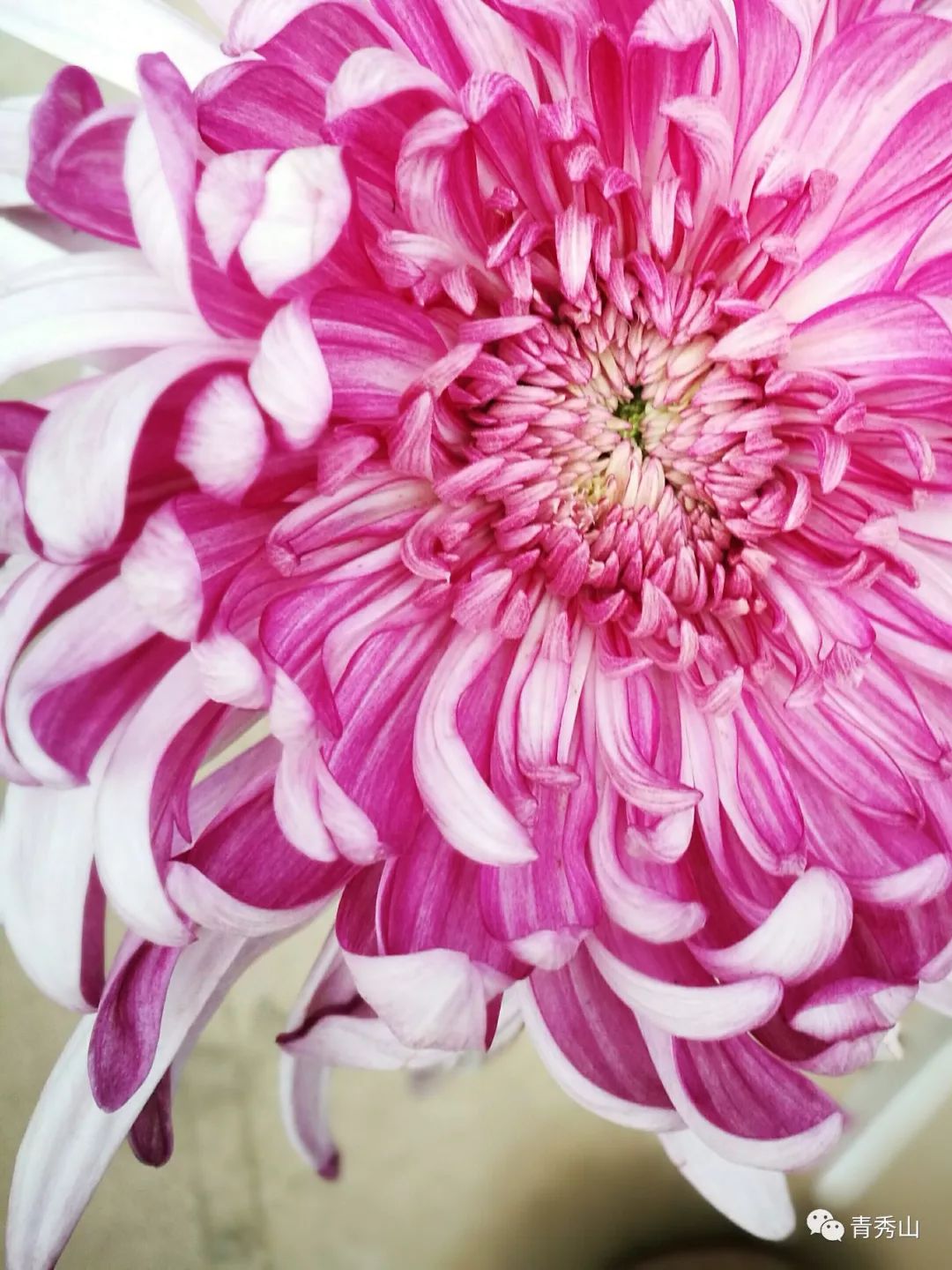 自拍达人全景,南宁自拍拍照博主