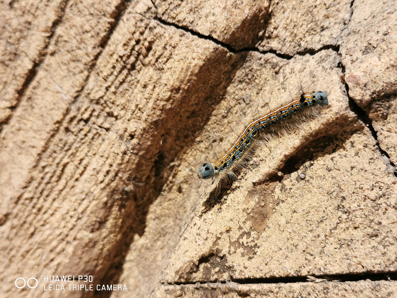 华为P30上手体验精致和价格真不能权衡一下吗？