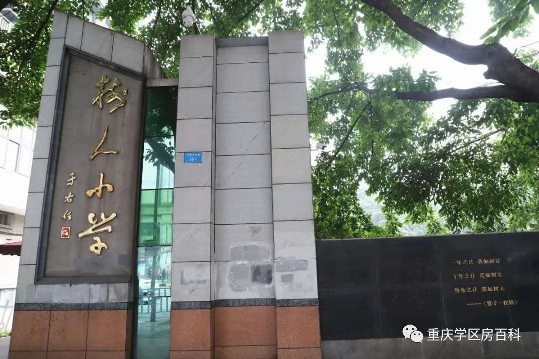 树人小学有初中吗,树人小学总校在哪里