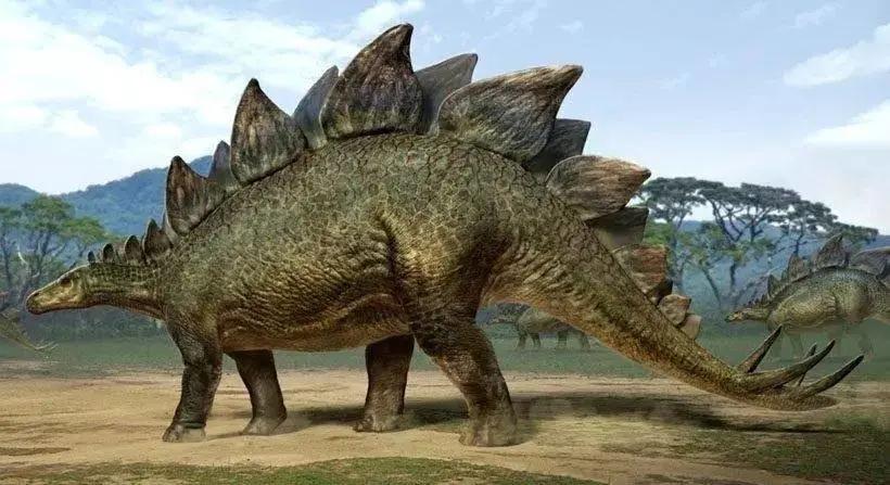 67年了，他还是干架圈唯一顶流！宇宙无敌大哥总