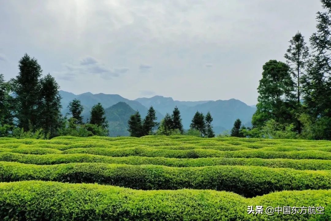 飞机餐特别好吃,飞机上的餐食有哪些